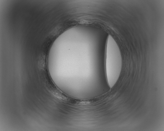 X0000074030554200608211139