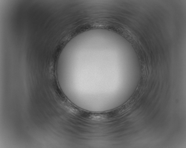 X0000074030557200608211139