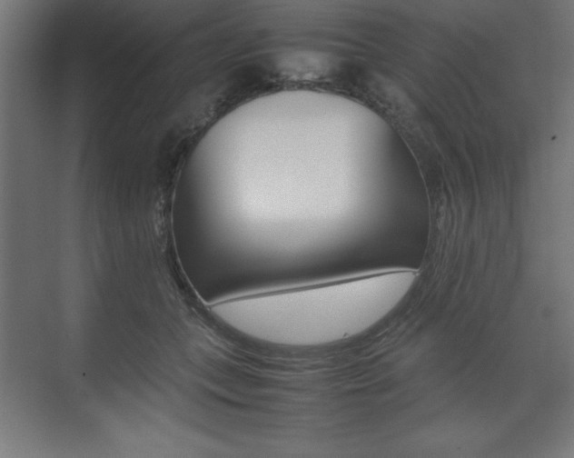 X0000074030559200608211139