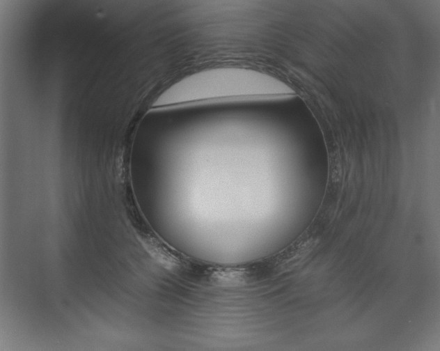 X0000074030560200608211139