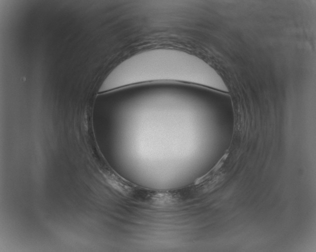X0000074030562200608211139