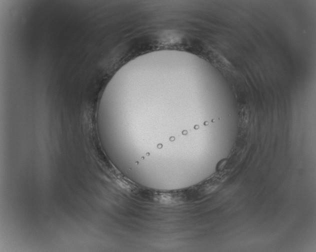 X0000074030565200608211139