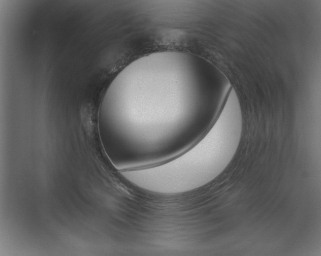 X0000074030566200608211139