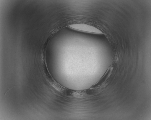 X0000074030568200608211139