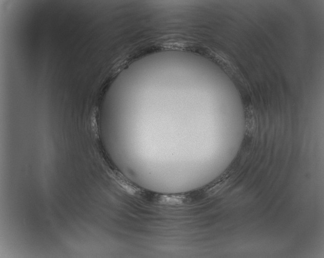 X0000074030573200608211139