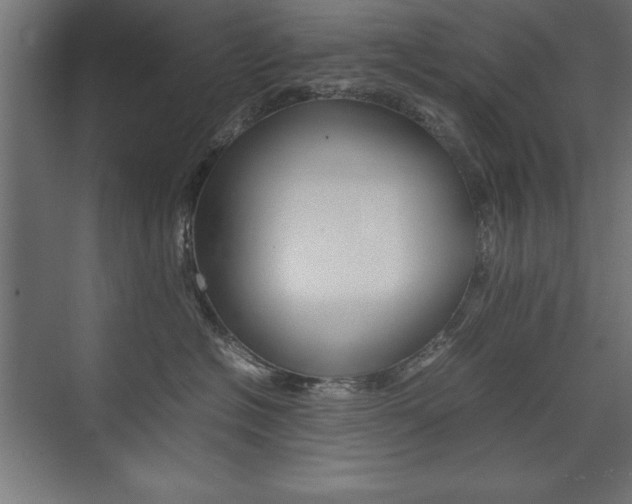 X0000074030574200608211139