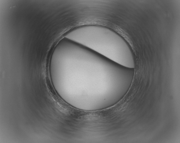 X0000074030578200608211138