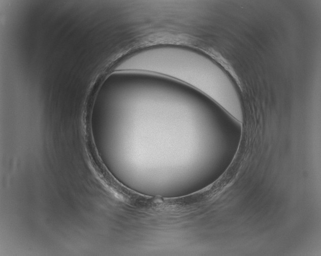 X0000074030581200608211138