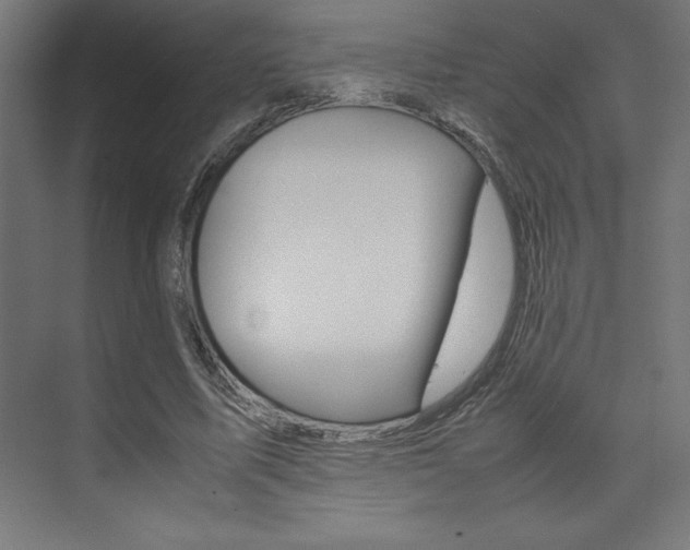 X0000074030587200608211138