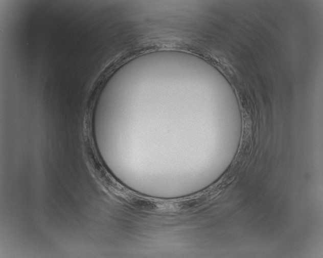 X0000074030591200608211138