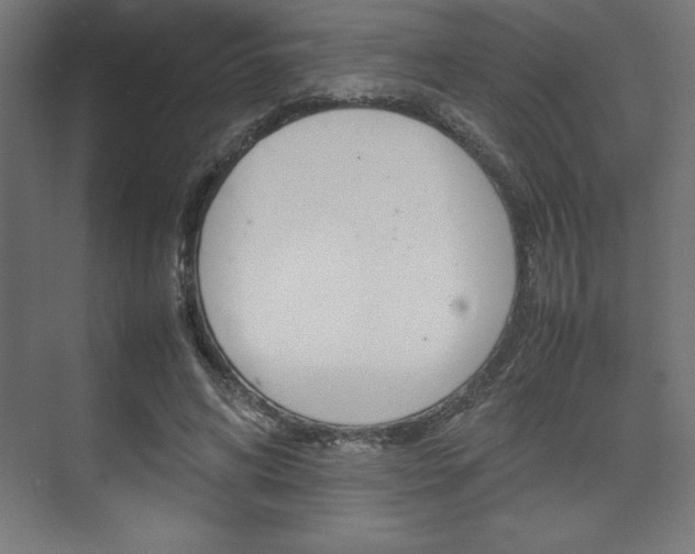 X0000074030592200608211138