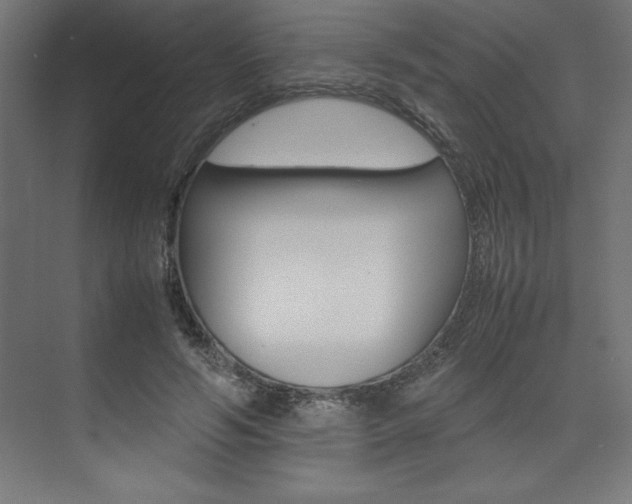X0000074030594200608211138