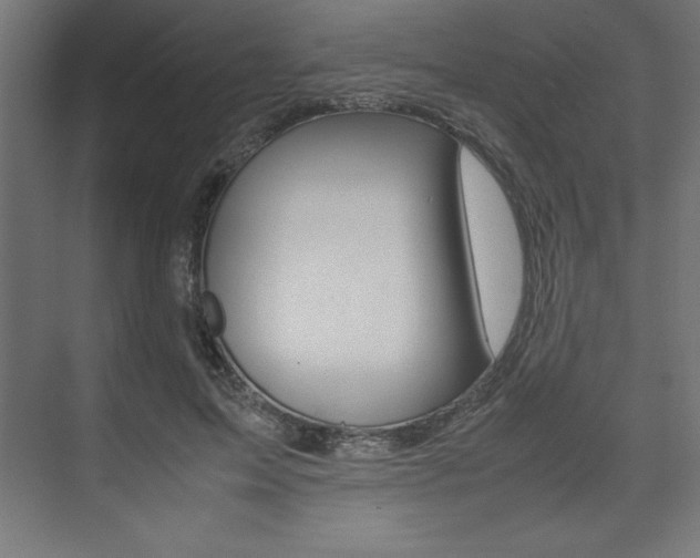 X0000074030599200608211138