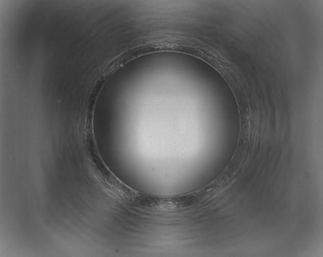X0000074030600200608211138