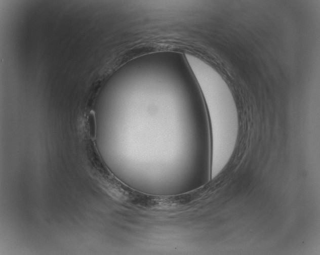 X0000074030601200608211138