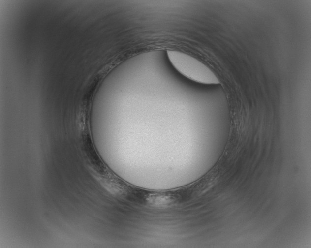 X0000074030602200608211138