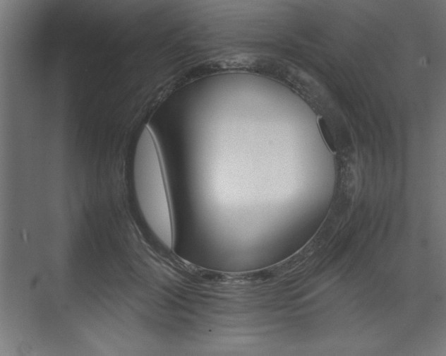 X0000074030604200608211138