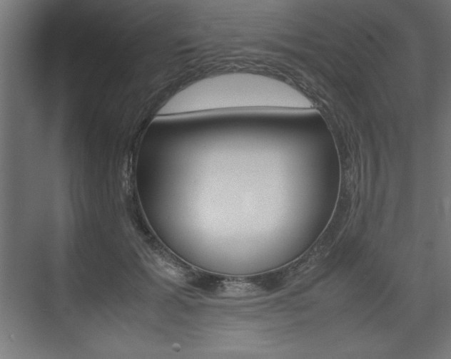 X0000074030605200608211138