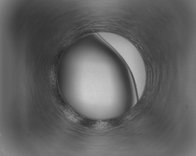 X0000074030609200608211138