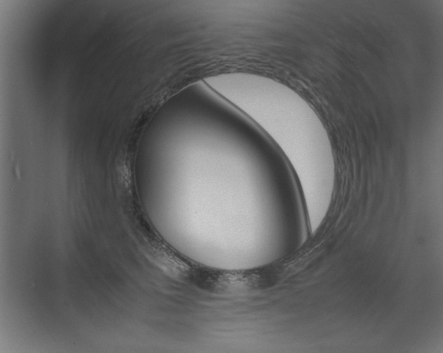 X0000074030613200608211138