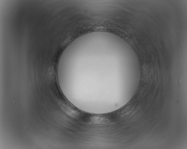 X0000074030614200608211138