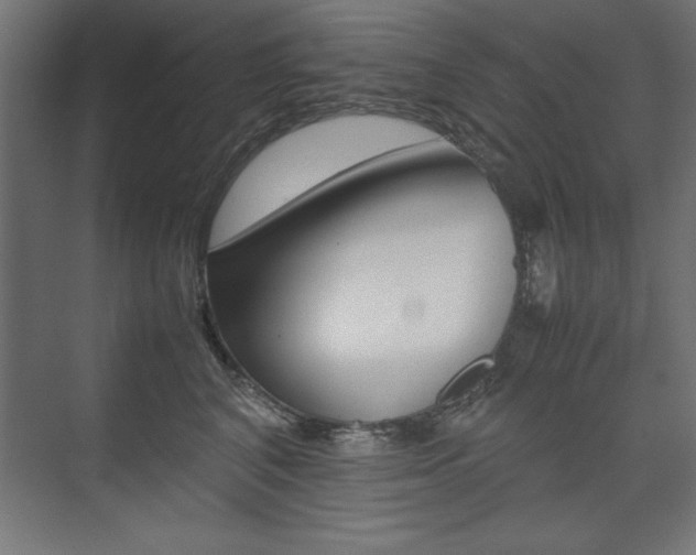 X0000074030616200608211138
