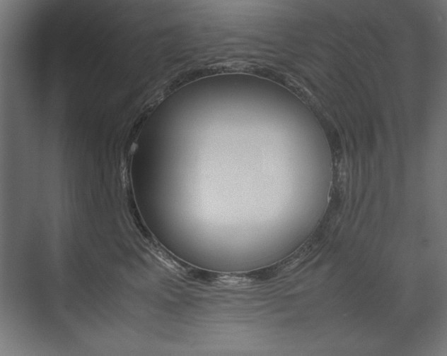 X0000074030617200608211138