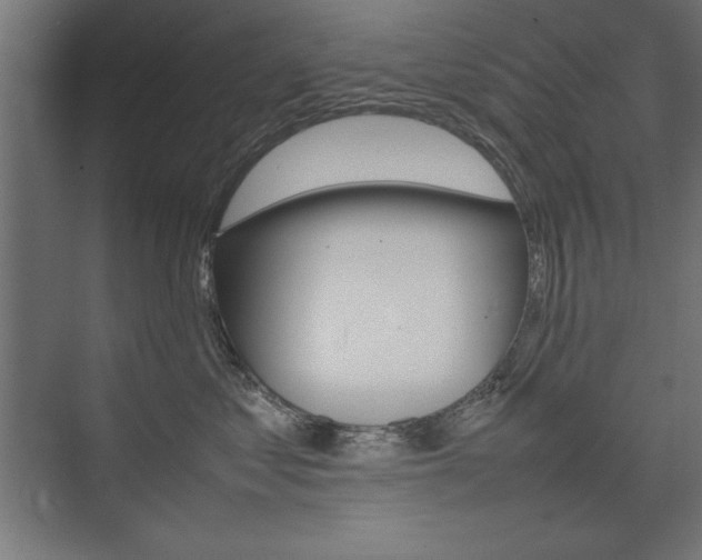 X0000074030621200608211138
