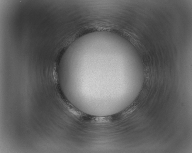 X0000074030622200608211138