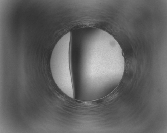 X0000074030623200608211138