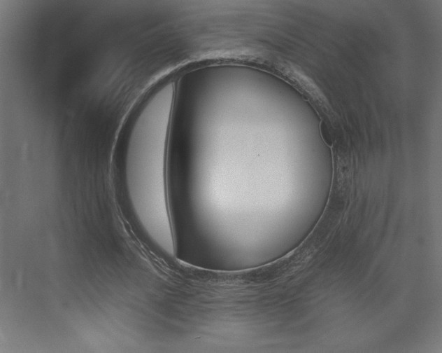 X0000074030628200608211137