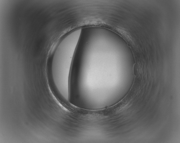 X0000074030630200608211137