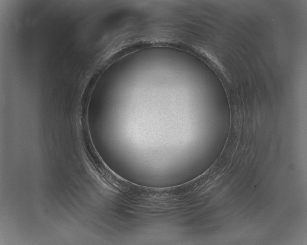 X0000074030631200608211137