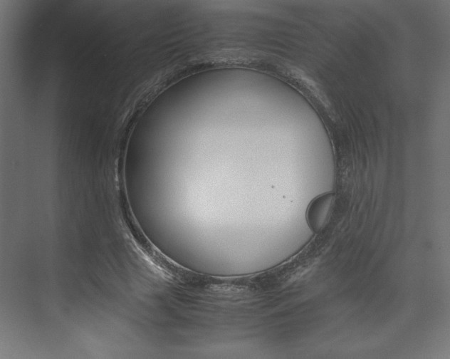 X0000074030633200608211137