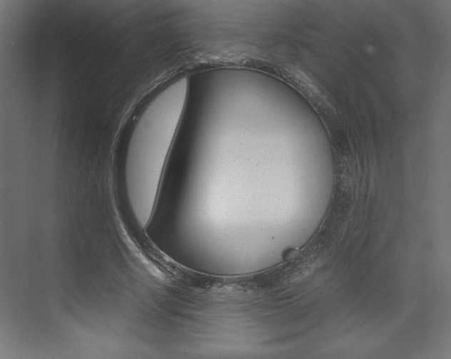 X0000074030634200608211137