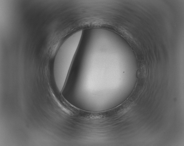 X0000074030638200608211137