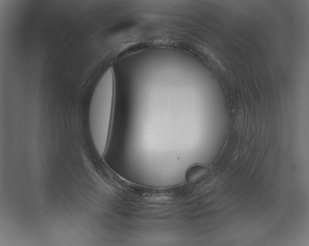 X0000074030643200608211137