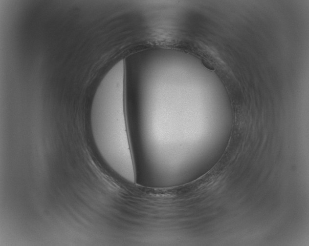 X0000074030645200608211137