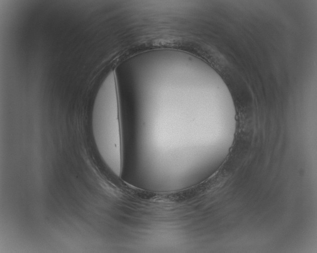X0000074030648200608211137