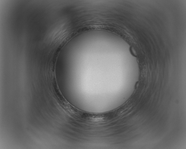 X0000074030651200608211137