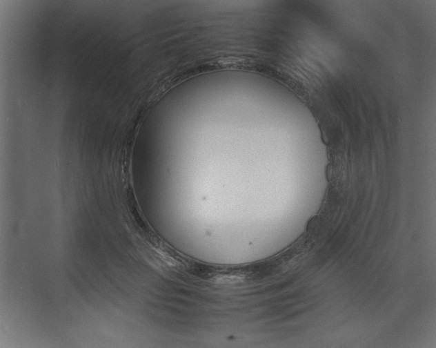 X0000074030653200608211137