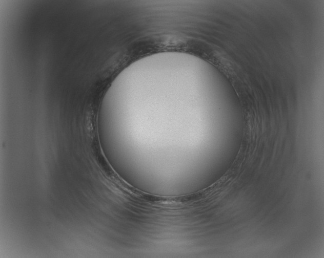 X0000074030654200608211137