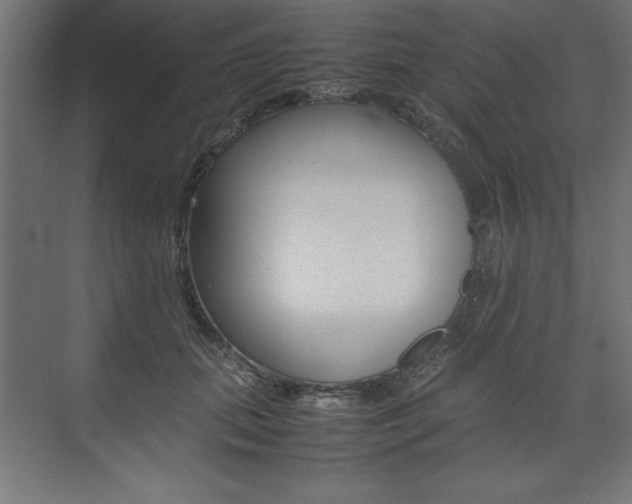 X0000074030655200608211137