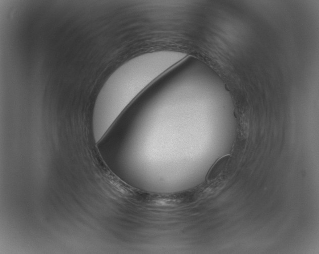 X0000074030657200608211137