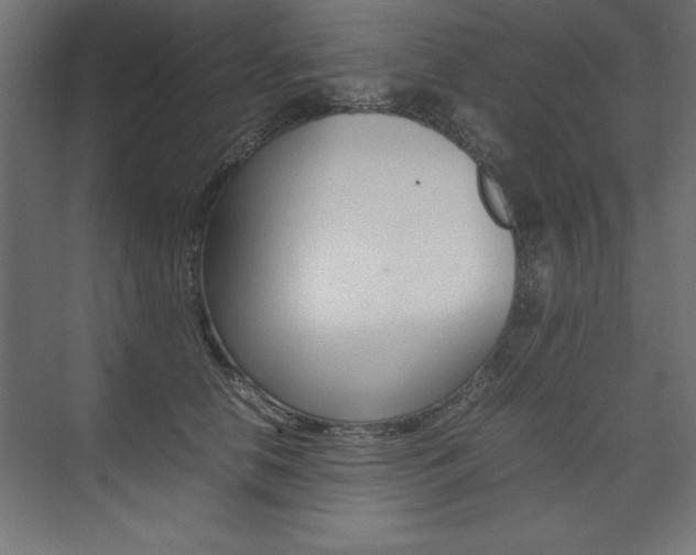 X0000074030658200608211137