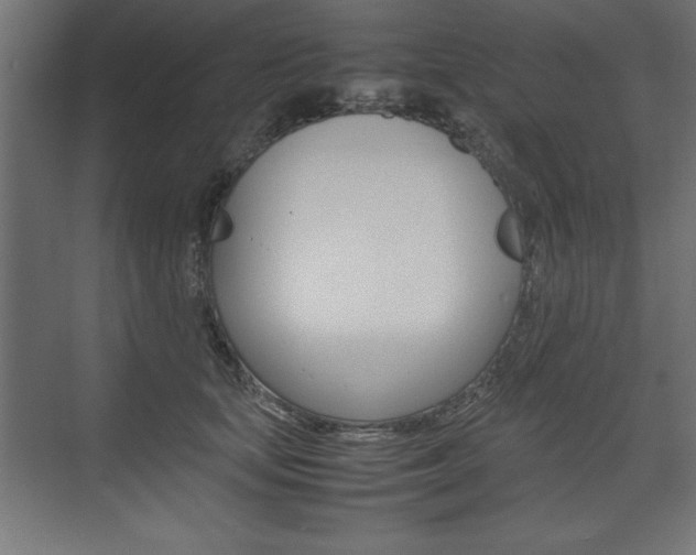 X0000074030659200608211137