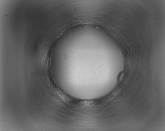 X0000074030660200608211137