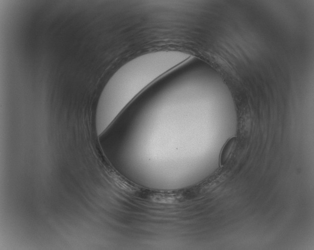 X0000074030661200608211137