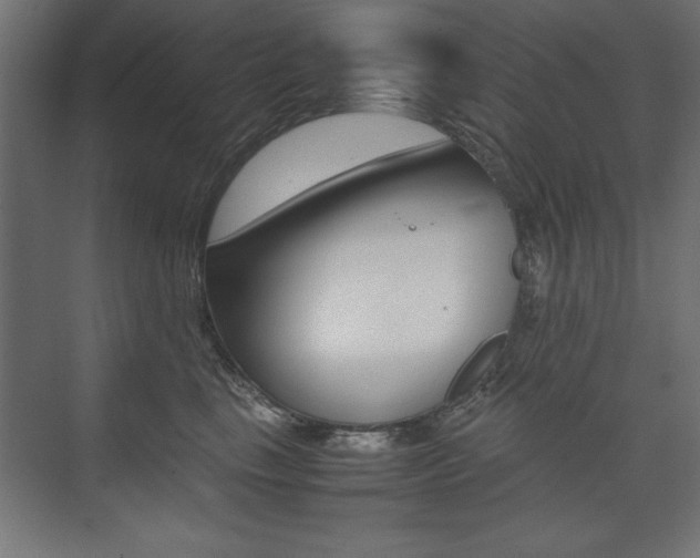 X0000074030665200608211137