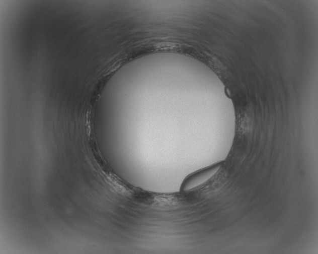 X0000074030666200608211137